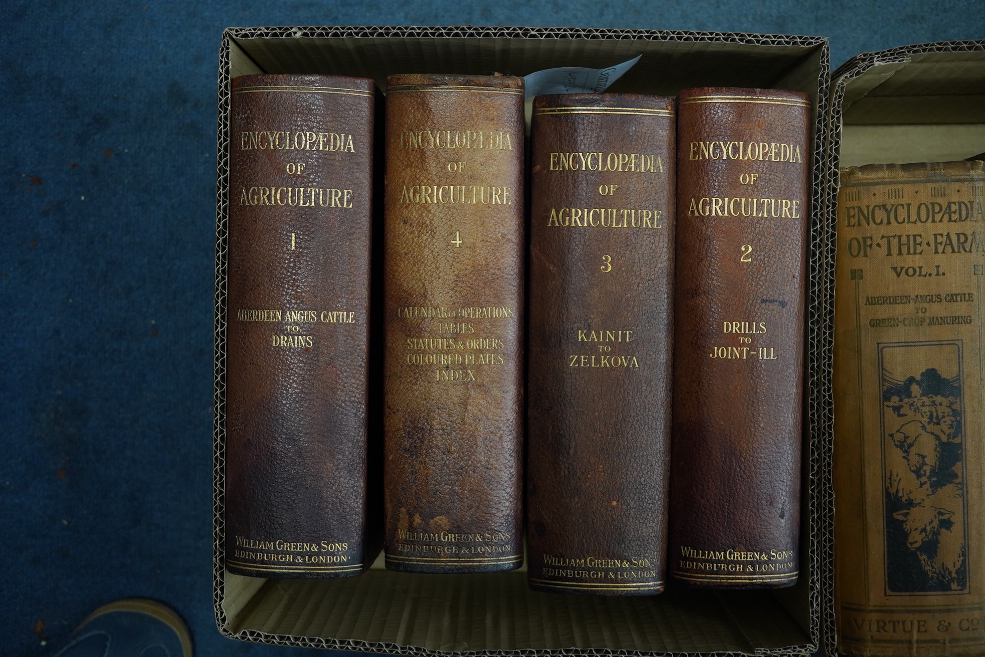 Sherer, Jon - Rural Life ... in the Management of Horses, Dogs, Cattle, Sheep ... modern farming, gardening, shooting, angling ... and a complete system of modern veterinary practice. bound as 2 vols. engraved pictorial